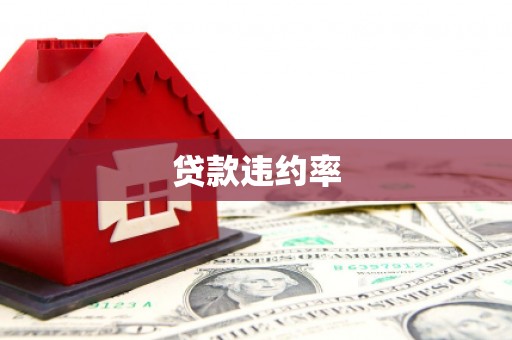 坪林贷款违约率