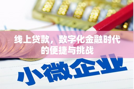 坪林线上贷款，数字化金融时代的便捷与挑战