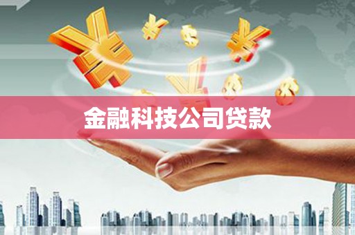坪林金融科技公司贷款