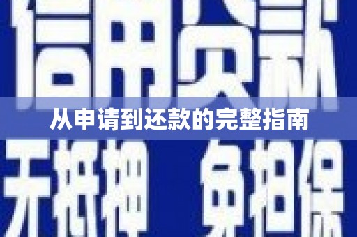 坪林从申请到还款的完整指南
