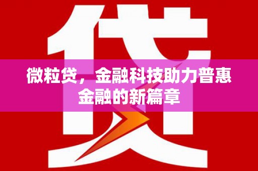 坪林微粒贷，金融科技助力普惠金融的新篇章
