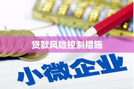 坪林贷款风险控制措施