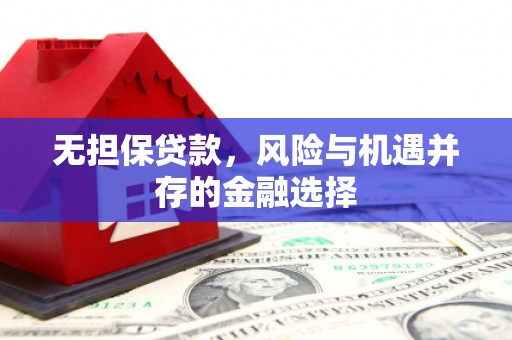 坪林无担保贷款，风险与机遇并存的金融选择
