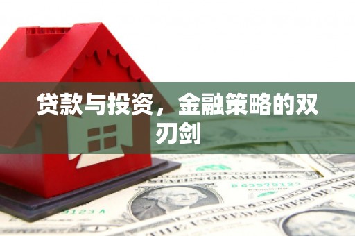 坪林贷款与投资，金融策略的双刃剑