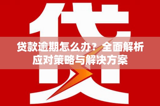 坪林贷款逾期怎么办？全面解析应对策略与解决方案