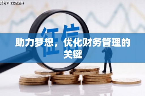 坪林助力梦想，优化财务管理的关键