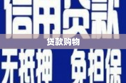 坪林贷款购物