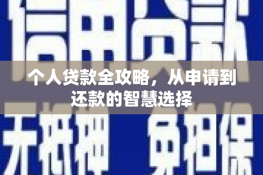 坪林个人贷款全攻略，从申请到还款的智慧选择