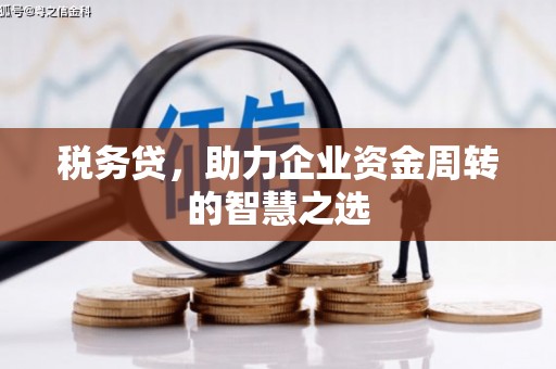 坪林税务贷，助力企业资金周转的智慧之选