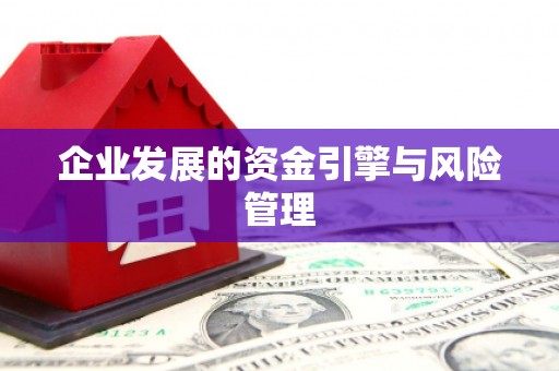 坪林企业发展的资金引擎与风险管理