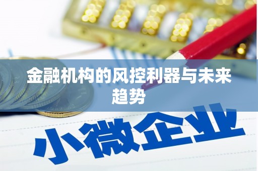 坪林金融机构的风控利器与未来趋势