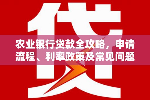 坪林农业银行贷款全攻略，申请流程、利率政策及常见问题解析
