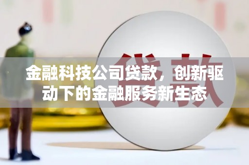 坪林金融科技公司贷款，创新驱动下的金融服务新生态