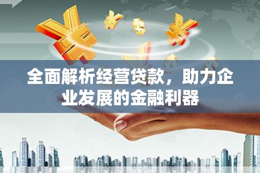 坪林全面解析经营贷款，助力企业发展的金融利器