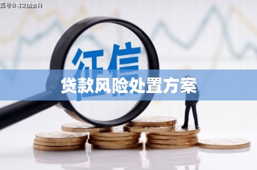 坪林贷款风险处置方案