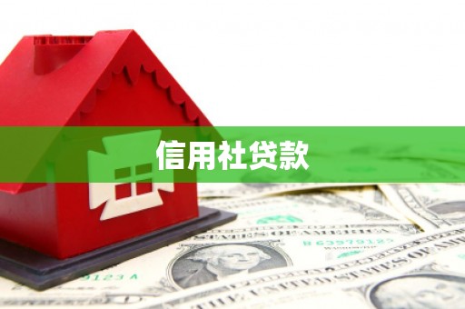 坪林信用社贷款