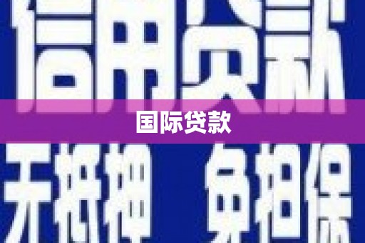 坪林国际贷款