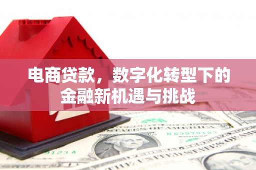 坪林电商贷款，数字化转型下的金融新机遇与挑战