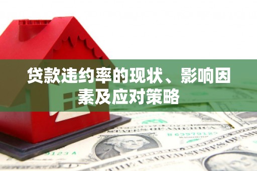 坪林贷款违约率的现状、影响因素及应对策略