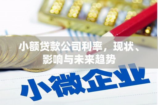 坪林小额贷款公司利率，现状、影响与未来趋势