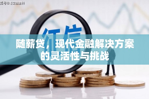 坪林随薪贷，现代金融解决方案的灵活性与挑战