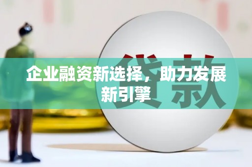 坪林企业融资新选择，助力发展新引擎