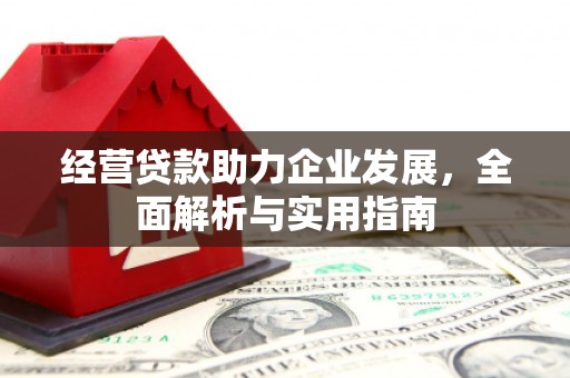 坪林经营贷款助力企业发展，全面解析与实用指南
