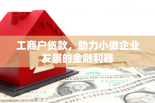 坪林工商户贷款，助力小微企业发展的金融利器