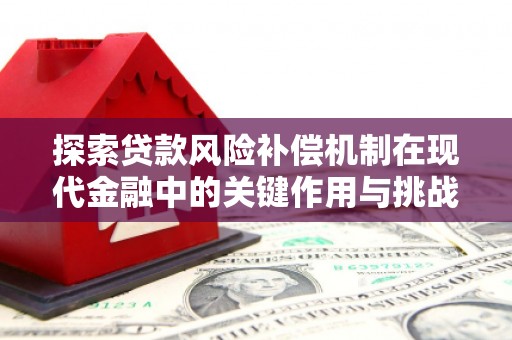 坪林探索贷款风险补偿机制在现代金融中的关键作用与挑战