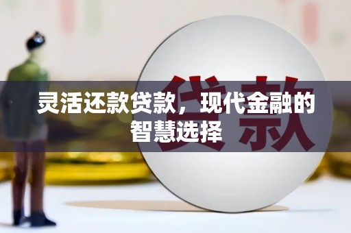 坪林灵活还款贷款，现代金融的智慧选择