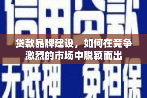 坪林贷款品牌建设，如何在竞争激烈的市场中脱颖而出