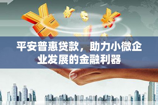 坪林平安普惠贷款，助力小微企业发展的金融利器