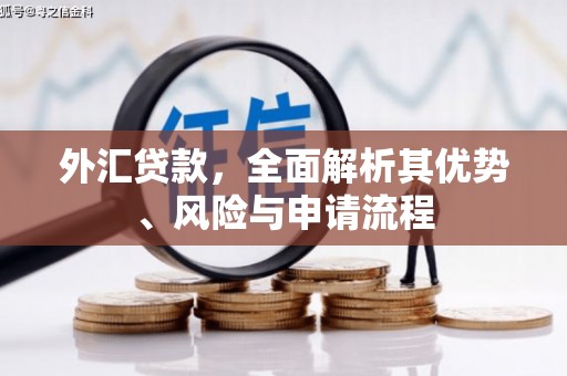 坪林外汇贷款，全面解析其优势、风险与申请流程