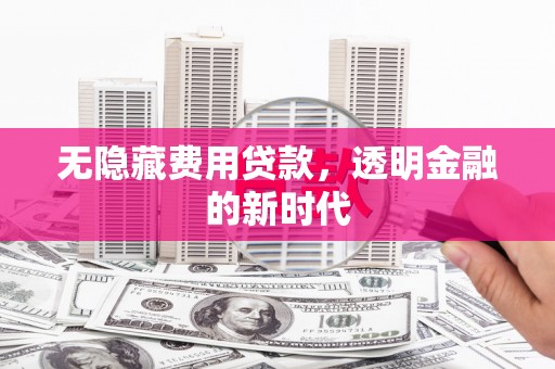 坪林无隐藏费用贷款，透明金融的新时代