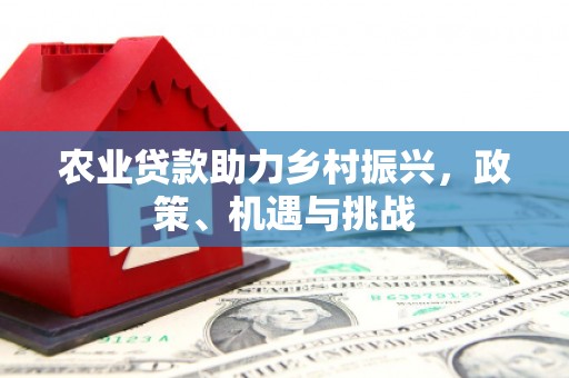 坪林农业贷款助力乡村振兴，政策、机遇与挑战