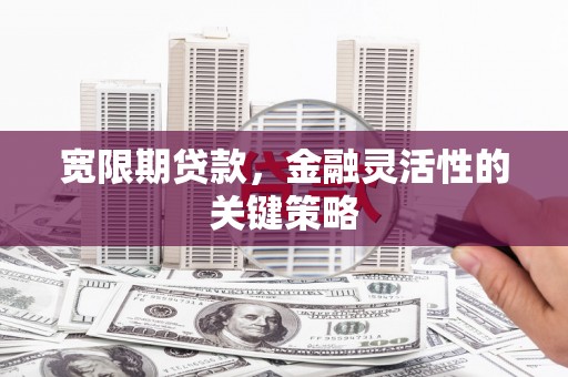 坪林宽限期贷款，金融灵活性的关键策略