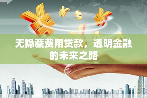 坪林无隐藏费用贷款，透明金融的未来之路