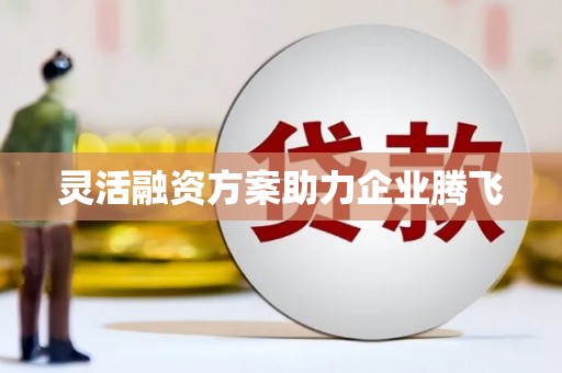 坪林灵活融资方案助力企业腾飞
