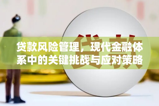 坪林贷款风险管理，现代金融体系中的关键挑战与应对策略