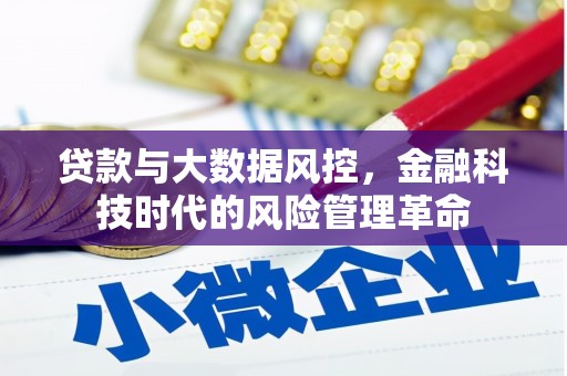 坪林贷款与大数据风控，金融科技时代的风险管理革命