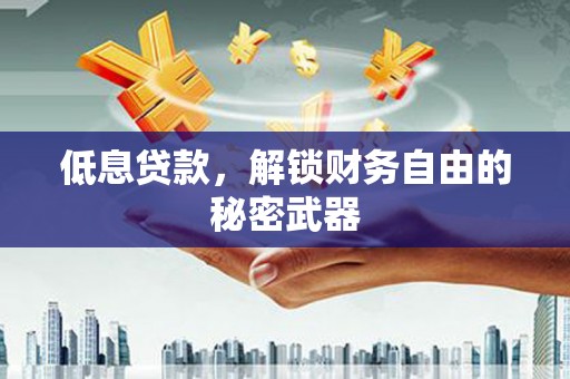 坪林低息贷款，解锁财务自由的秘密武器