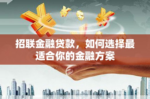 坪林招联金融贷款，如何选择最适合你的金融方案
