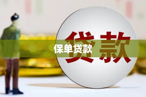 坪林保单贷款
