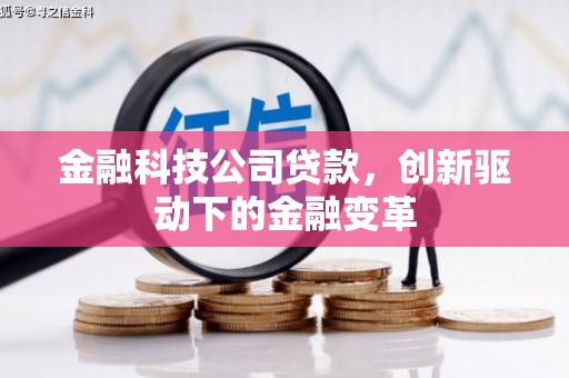 坪林金融科技公司贷款，创新驱动下的金融变革