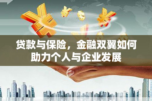 坪林贷款与保险，金融双翼如何助力个人与企业发展