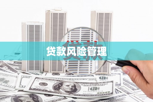 坪林贷款风险管理