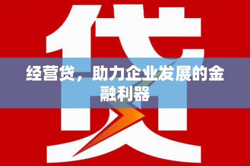 坪林经营贷，助力企业发展的金融利器