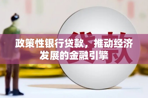 坪林政策性银行贷款，推动经济发展的金融引擎