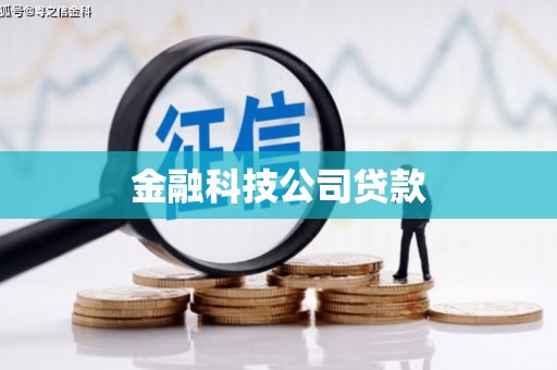 坪林金融科技公司贷款