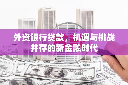坪林外资银行贷款，机遇与挑战并存的新金融时代